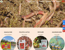 Tablet Screenshot of earthwormvietnam.com